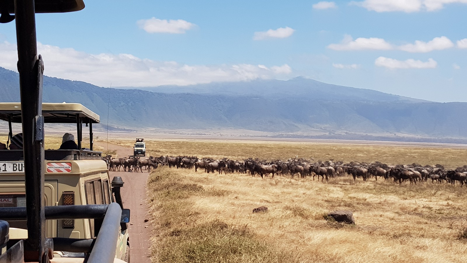 Read more about the article 非洲坦尚尼亞獵遊—Day.4 恩戈羅恩戈羅保護區 Ngorongoro Conservation Area